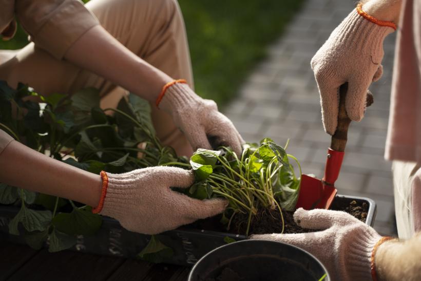 Un jardin partagé sur le Campus de Saint-Jérôme : Viens mettre les mains dans la terre !